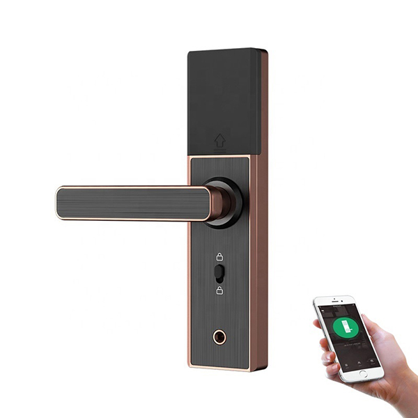Elektronický otisk digitálních dveří Smart Lock