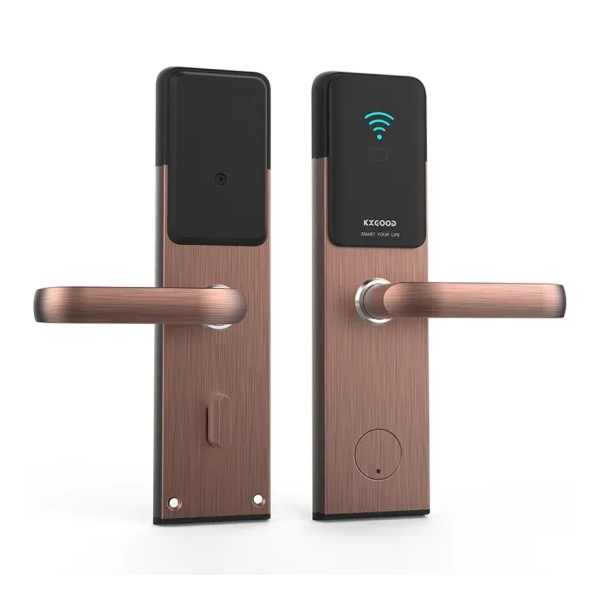 Domácí elektronický elektrický Tuya App Wifi Smart Lock